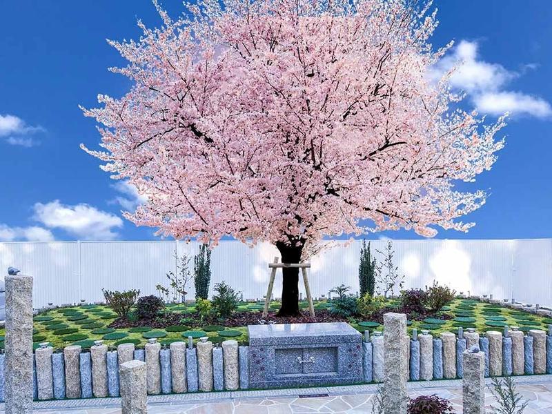 Ａ区 永代供養樹木葬「桜」