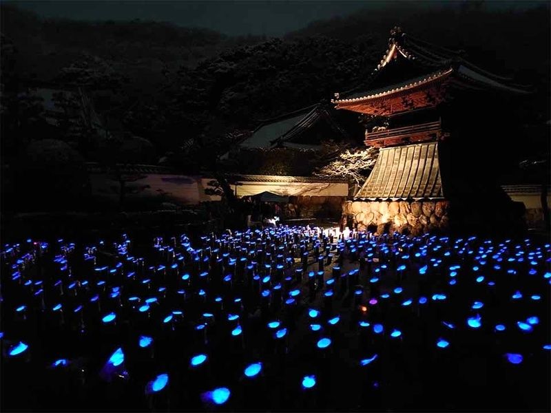 除夜の鐘 ライトアップ（2021年）