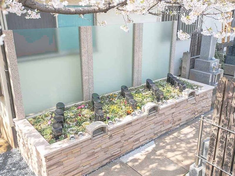 サクラテラスそめい 樹木葬