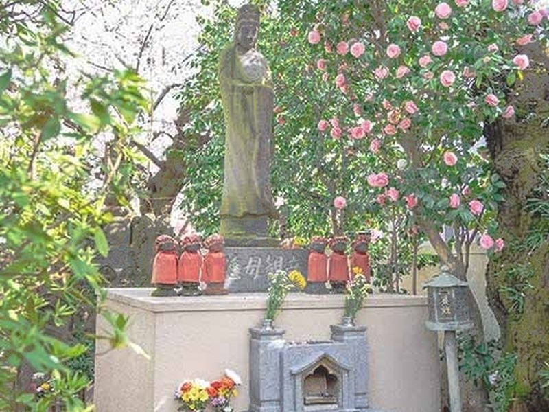 サクラテラスそめい 樹木葬