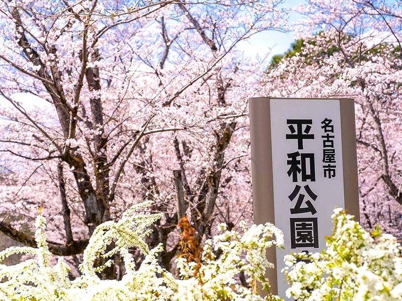 慶栄寺 樹木葬・永代供養墓