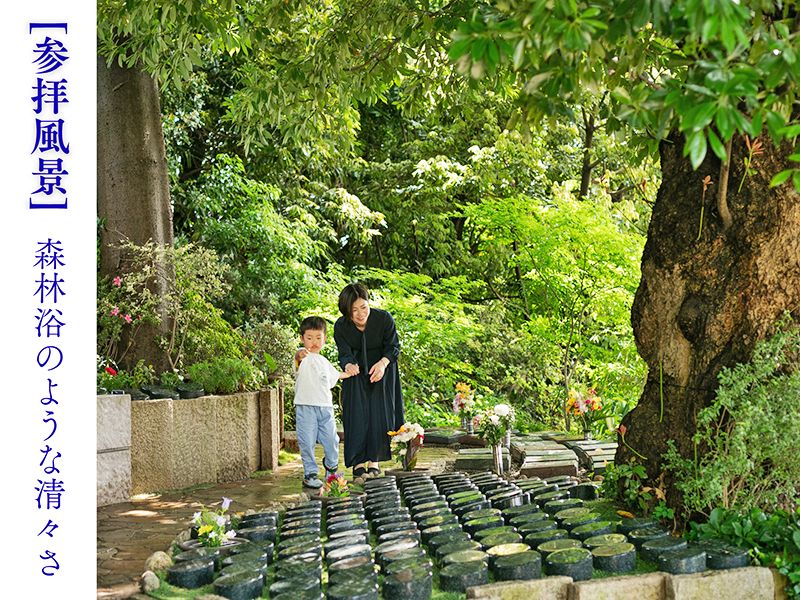 谷中樹陵 久遠・長明寺樹木葬