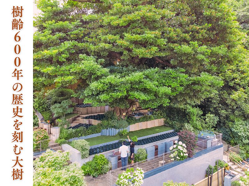 谷中樹陵 久遠・長明寺樹木葬
