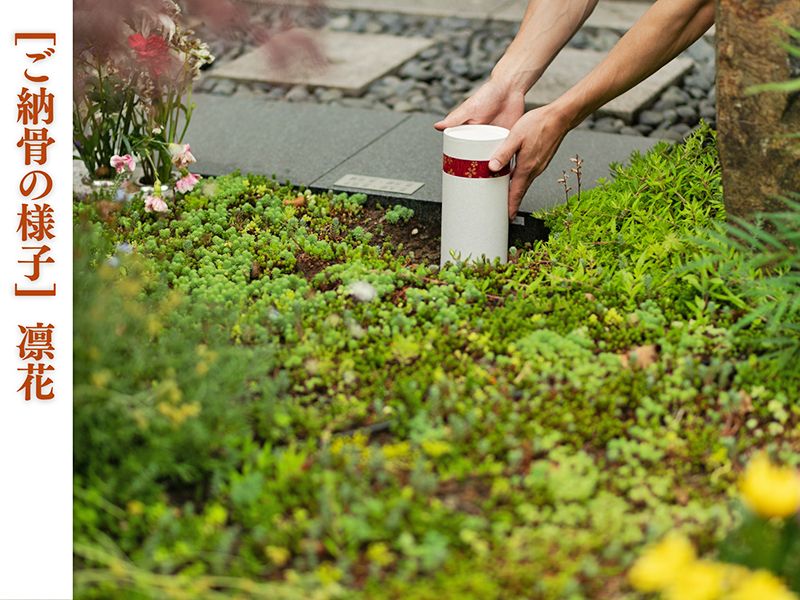 芝愛宕の森・光円寺樹木葬