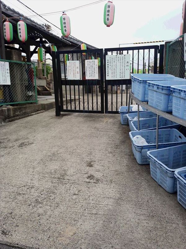 高井田共同墓地