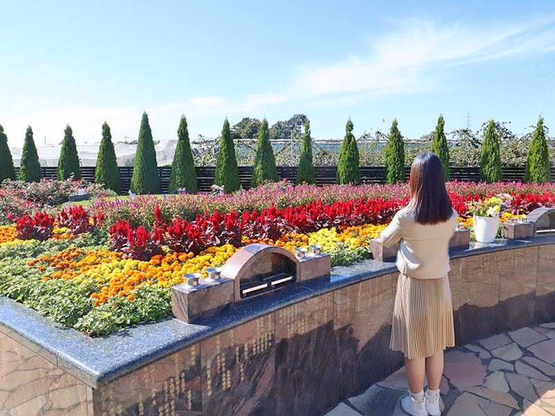 霊園内は四季折々のお花が咲き誇ります