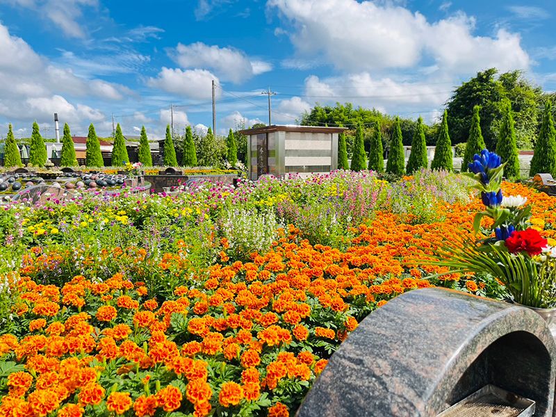 霊園内は四季折々のお花が咲き誇ります